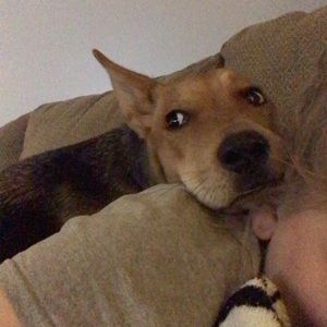 Meet your Posher, Madison